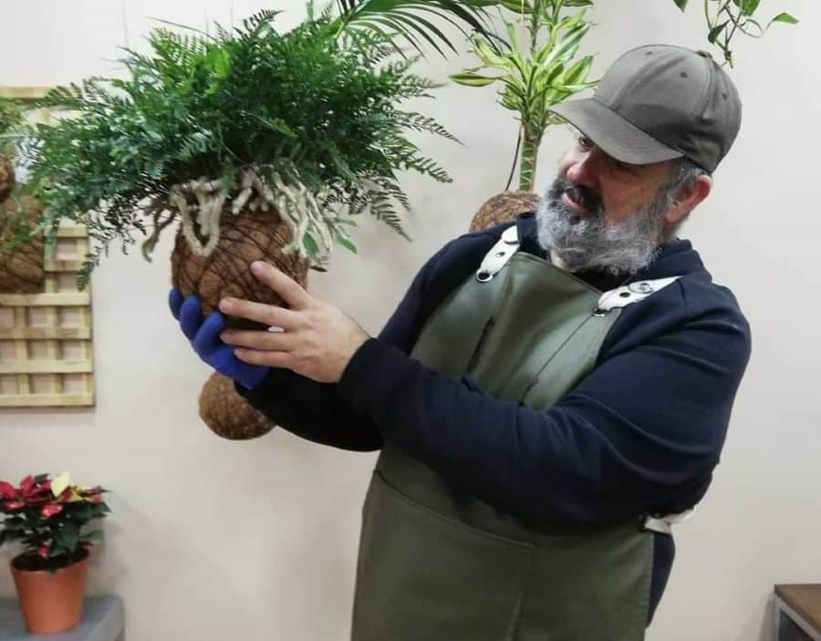 Manel Jardineiro é um dos espaços onde podes encontrar vários ramos