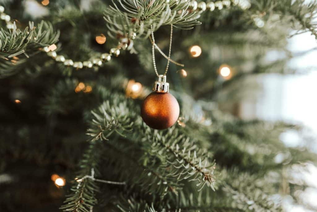 A primeira árvore de Natal do Porto foi inaugurada há mais de 150 anos