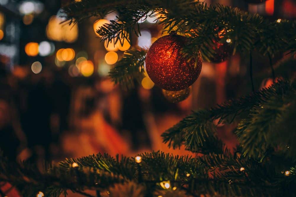 Sabes quando foi inaugurada a primeira árvore de Natal do Porto? - Porto  Secreto