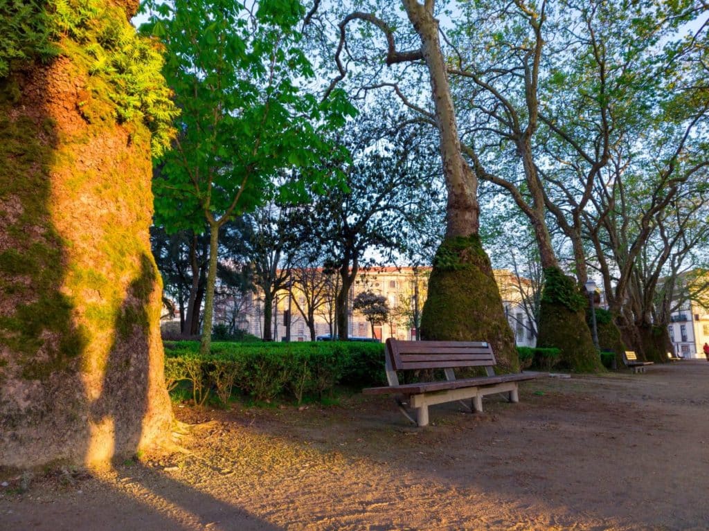 Vista para o conhecido Jardim da Cordoaria, bem no centro da cidade do Porto