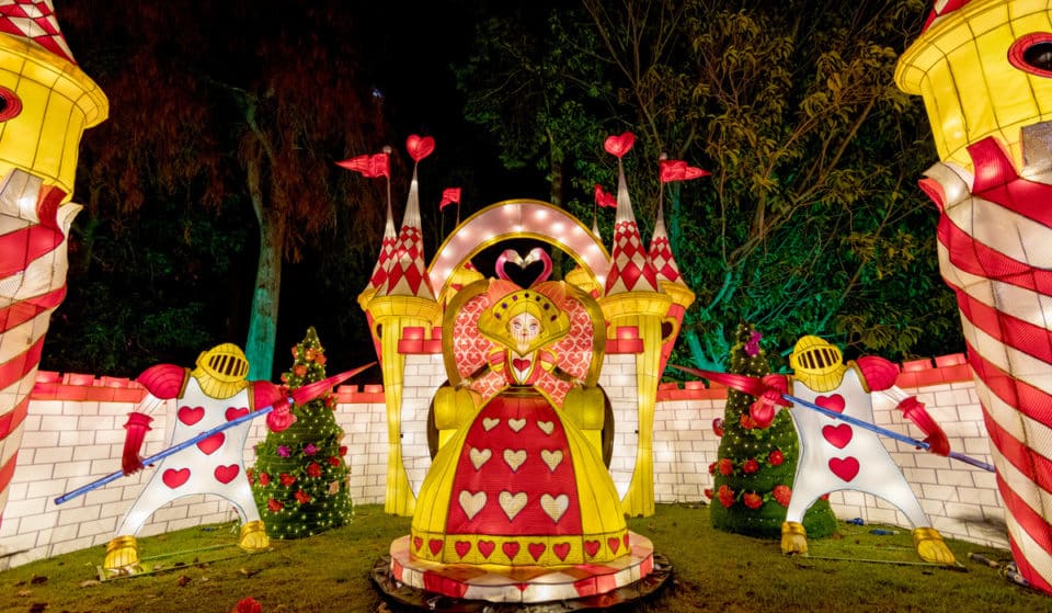 Alice in Magical Garden vai iluminar o Jardim Botânico do Porto até ao final do ano