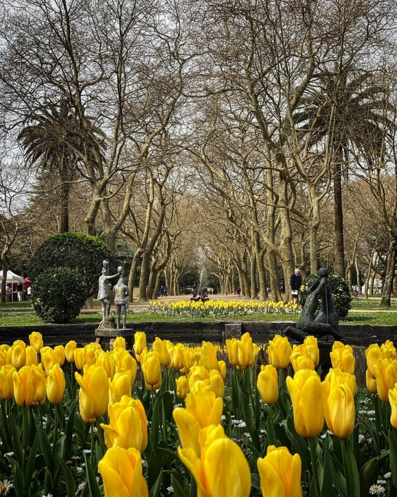 Jardim do Passeio Alegre, um dos jardins mais bonitos do Porto