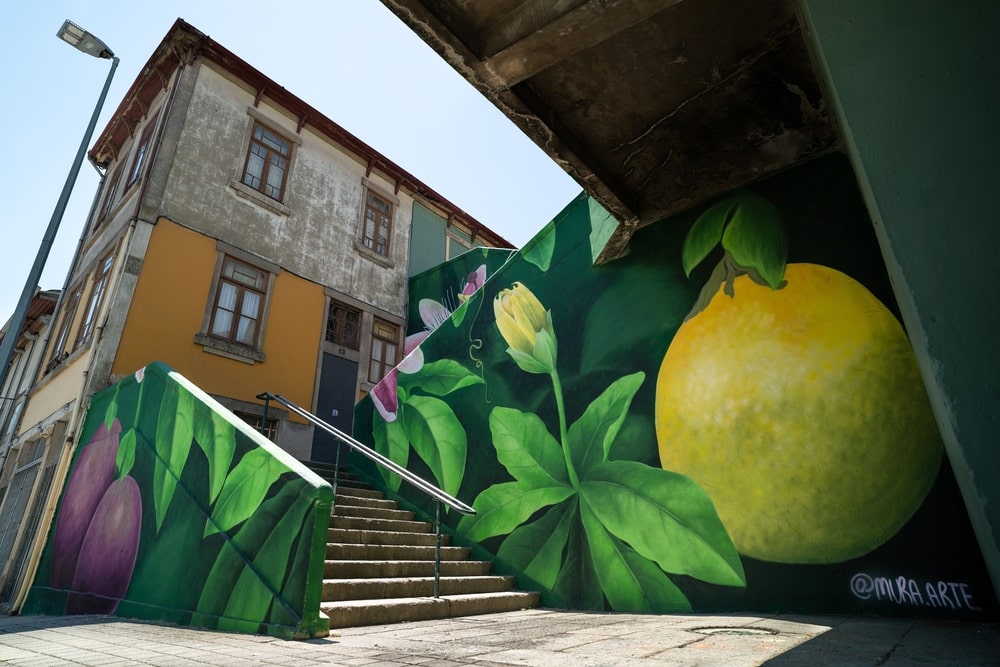 Novo mural de arte urbana no Porto, na Escadaria do Monte Tadeu