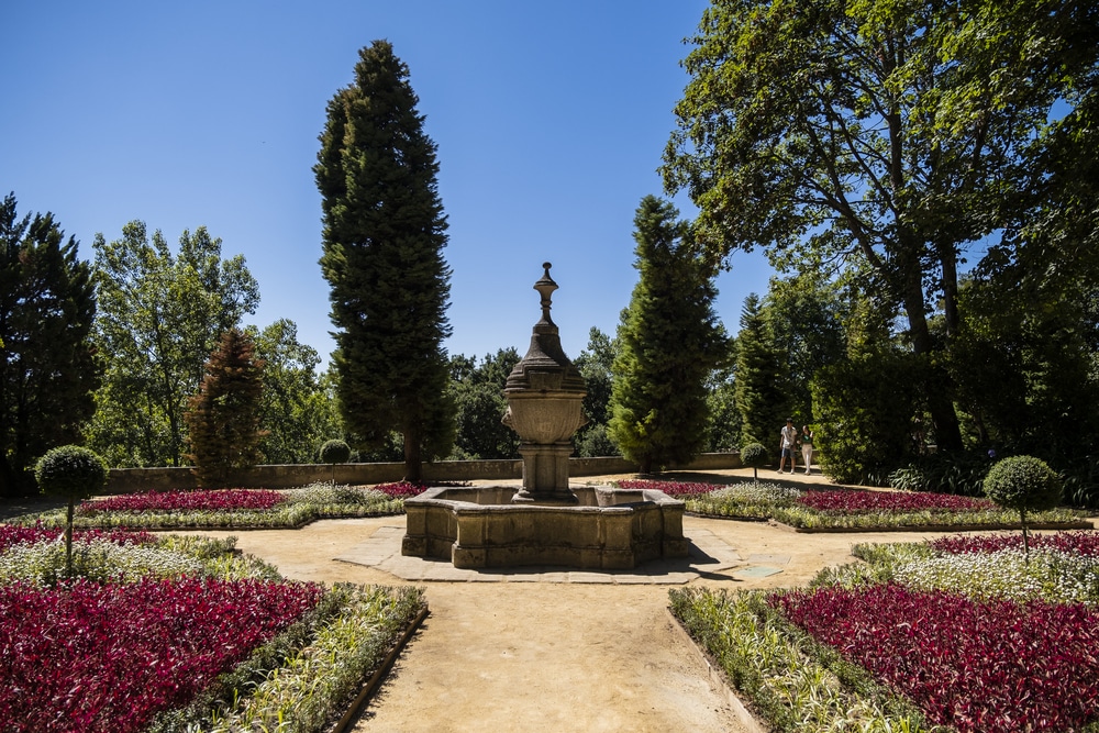 O Jardim do Buxo, no Palácio de Cristal, foi alvo de um projeto de requalificação e ganhou ainda mais cor