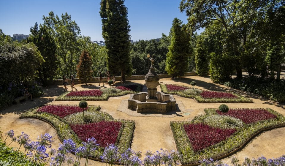 Jardim do “Buxo” do Palácio de Cristal ganha mais cor após requalificação