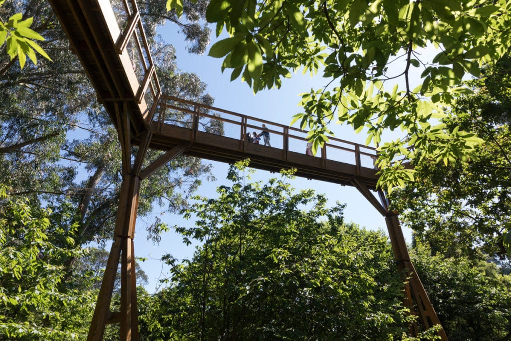 O Treetop Walk em Serralves é uma das melhores atrações do Porto