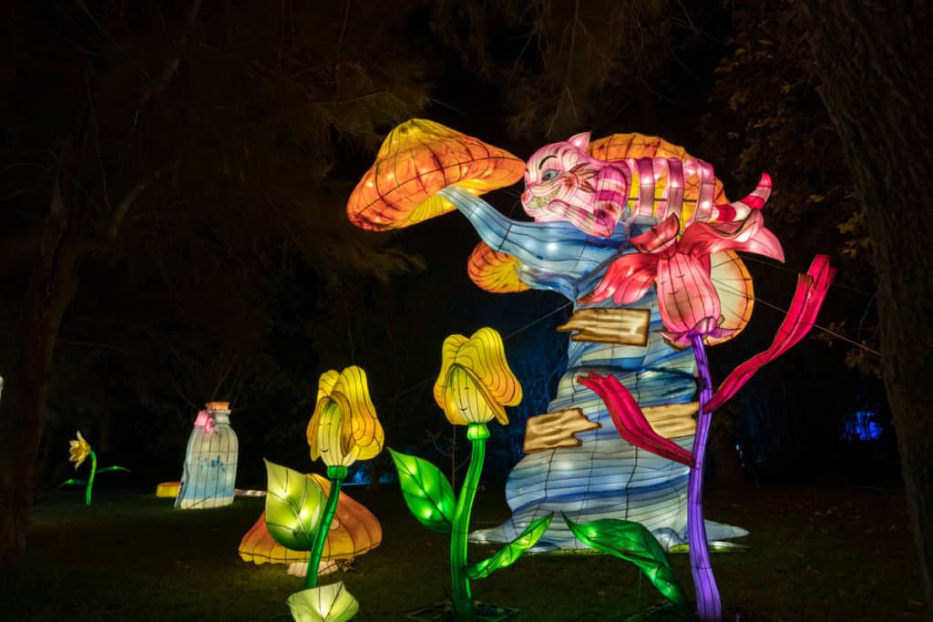 O Alice in Magical Garde é uma experiência imersiva, a decorrer no Jardim Botânico do Porto