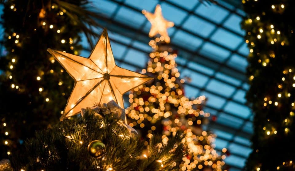 Jardins do Palácio de Cristal enchem-se de magia, luz e muita animação para o Natal