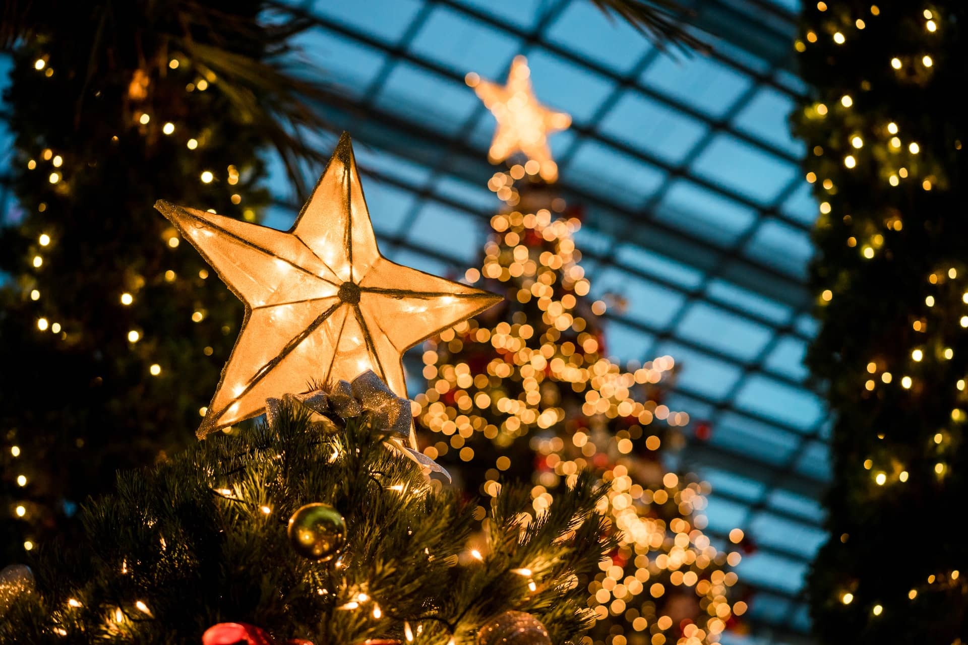 Jardins do Palácio de Cristal enchem-se de magia, luz e muita animação para  o Natal