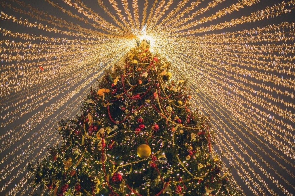 A Civitais elaborou uma lista com as árvores de Natal mais bonitas em todo o mundo