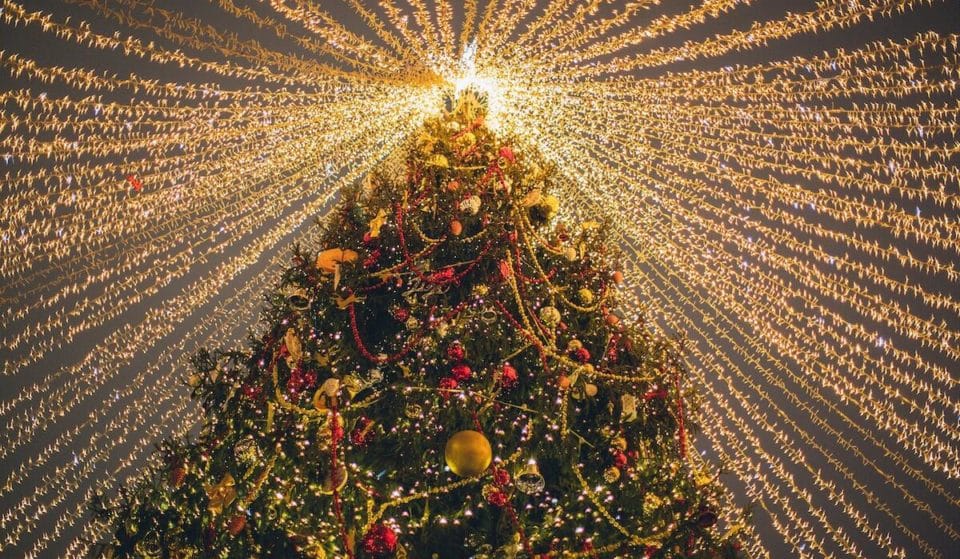 Quais são as árvores de Natal mais bonitas do planeta?