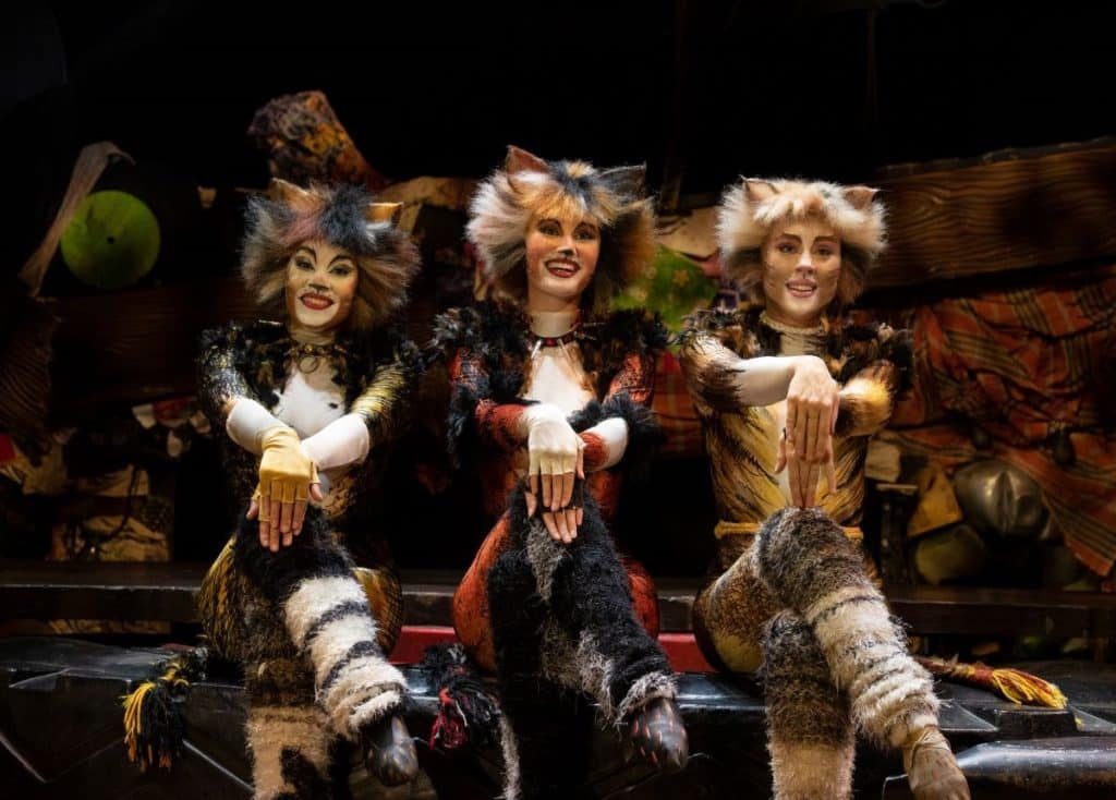 Dez anos depois, Cats o musical mais famoso sobre gatos chega ao Porto