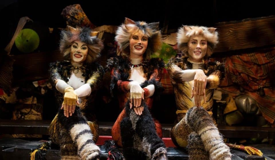 “Cats”: o musical sobre gatos mais famoso do mundo está prestes a chegar ao Porto