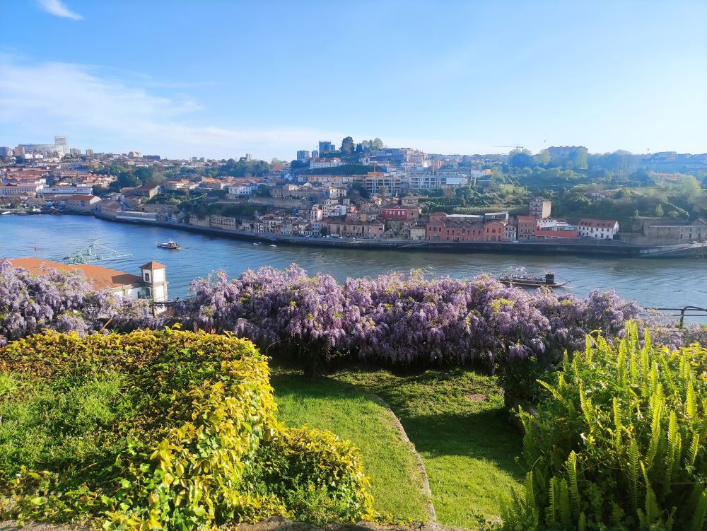 Vista deslumbrante para o rio Douro