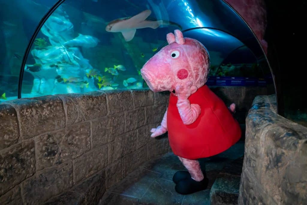Os mais novos podem conhecer a Peppa Pig no SEA Life Porto