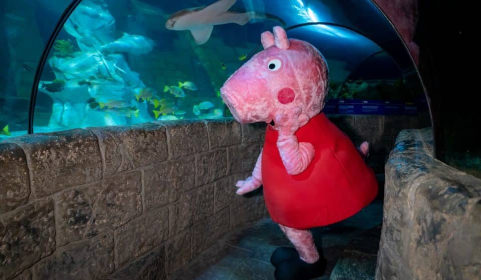 Atenção pais, podem levar os mais novos a conhecer a Porquinha Peppa no SEA LIFE