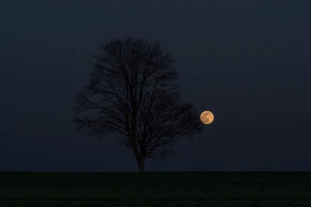 A lua de trovão é a primeira superlua do verão e do ano de 2023