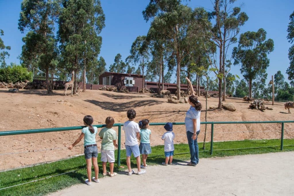 O Zoo Santo Inácio tem uma campanha especial para as crianças