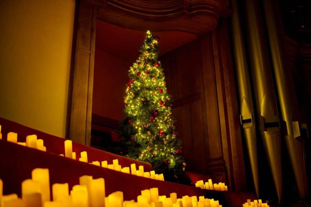 Uma árvore de Natal em exposição para um concerto à luz das velas.