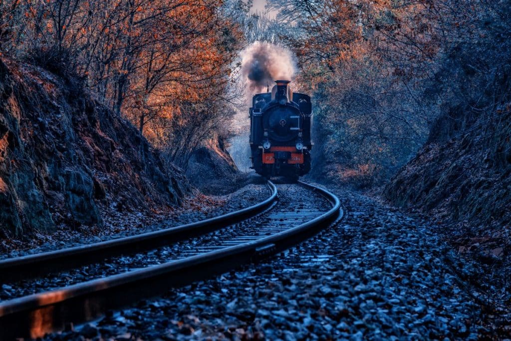 O Comboio Histórico do Vouga vai circular a todo o vapor para uma edição especial de Natal, em 2023